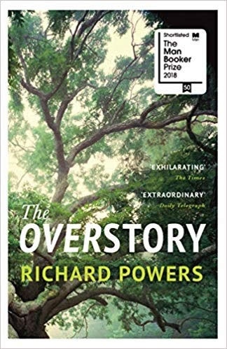 The overstory