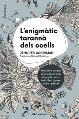 L'enigmàtic tarannà dels ocells