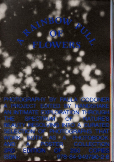 A Rainbow Full Of Flowers