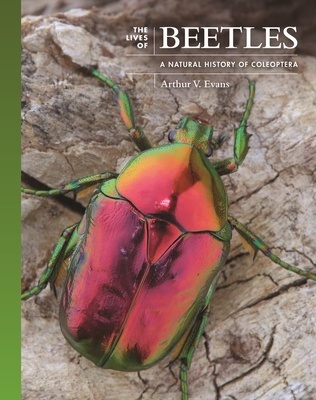 The Lives of Beetles "A Natural History of Coleoptera"