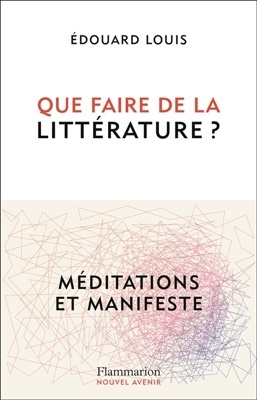 Que faire de la littérature?