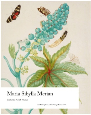 Maria Sibylla Merian