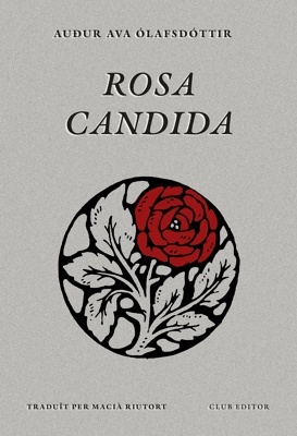 Rosa candida